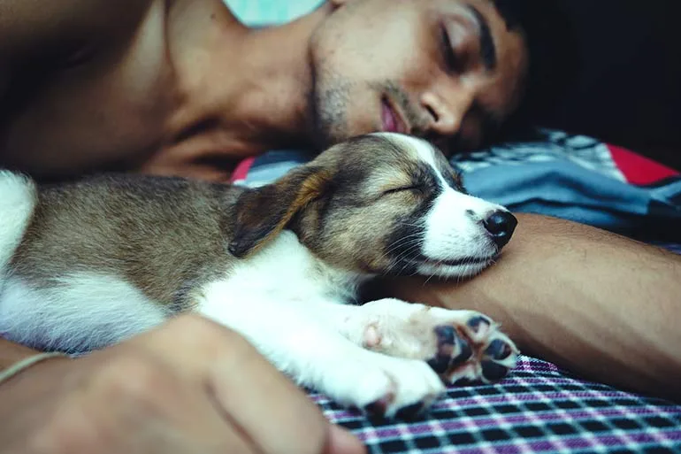 Topless Man with Dog