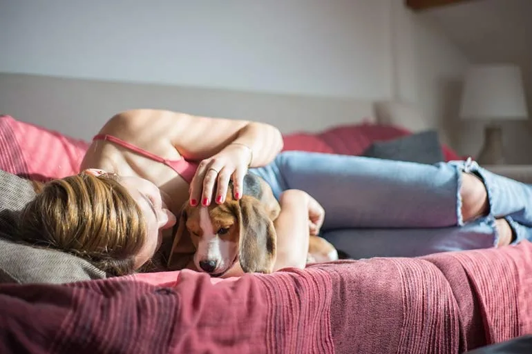 dog on blanket