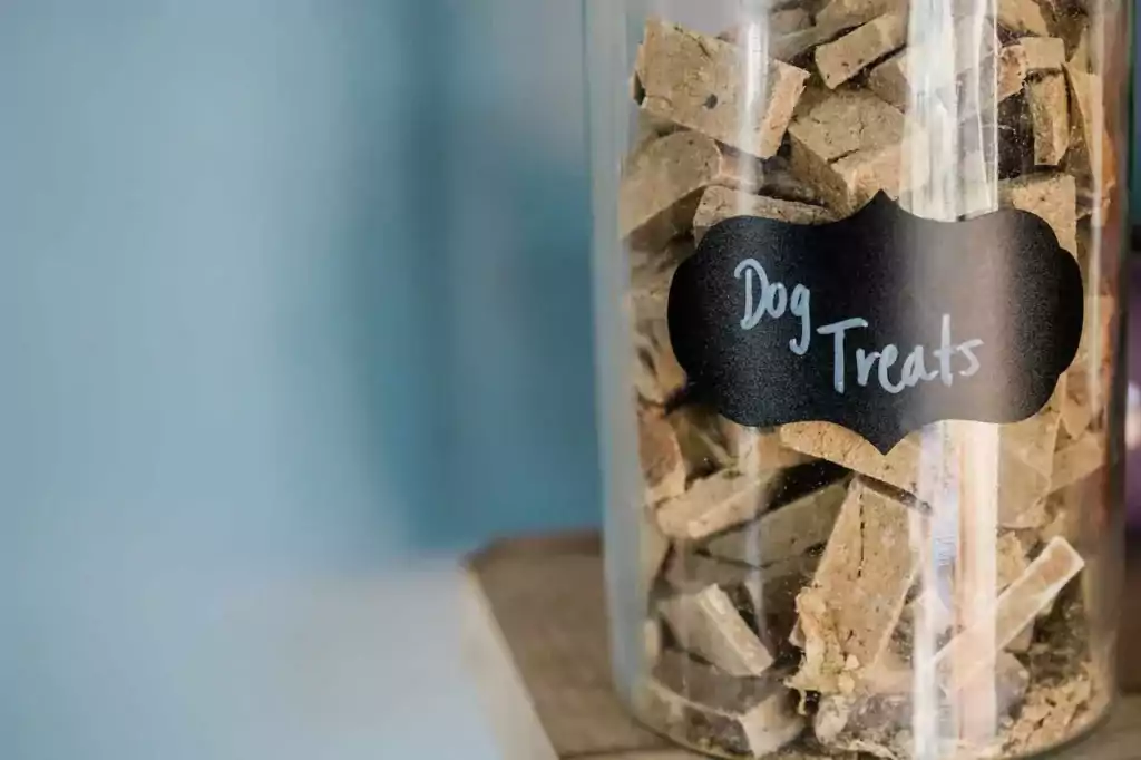 Dog Food in a Glass Container