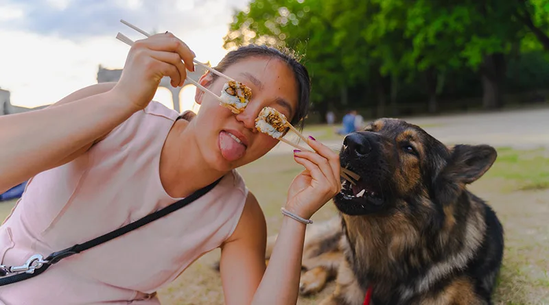 german shepherd eating foods with a women