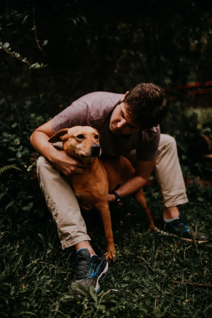 Man in Gray T-shirt and Brown Shorts Sitting Beside ill Dog