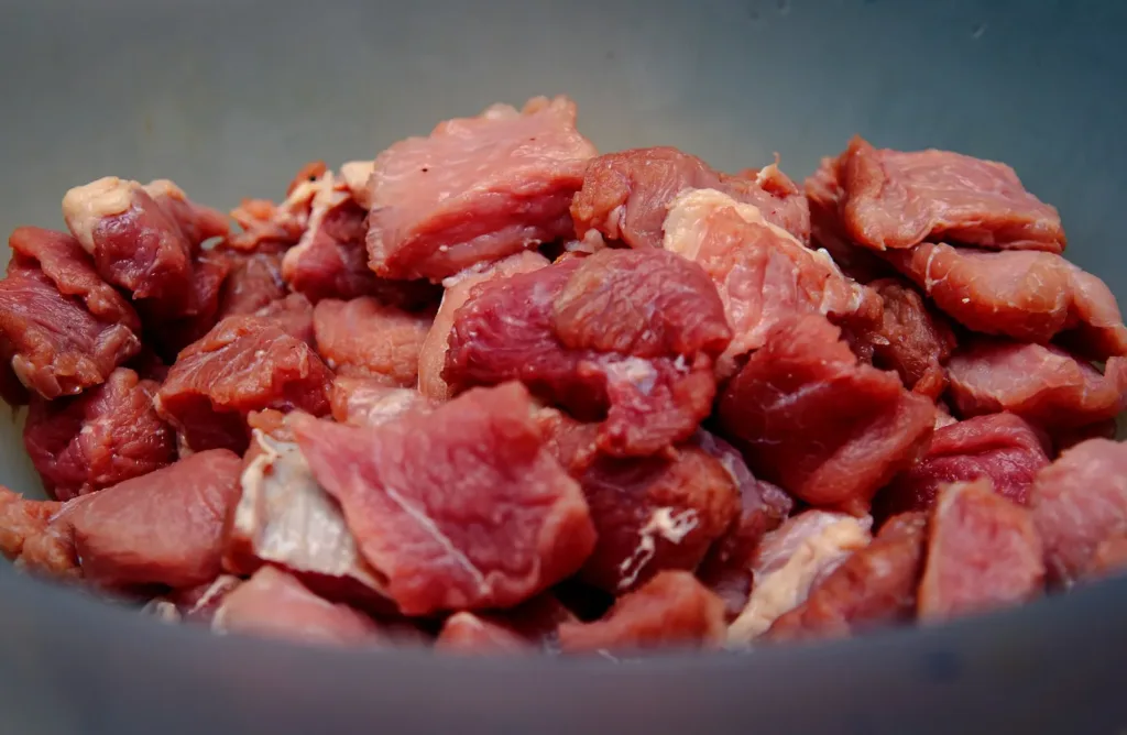 raw meat on blue ceramic bowl for bullmastiff dogs 