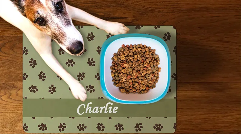 dog laying on a personalized dog food mat