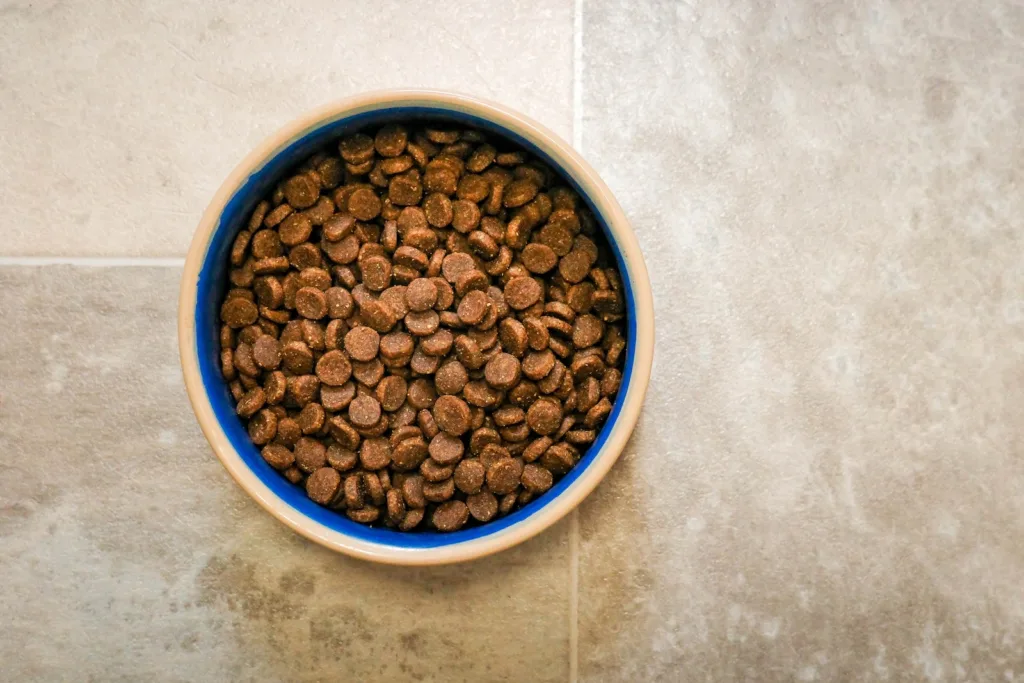 a bowl of kibble dog food on a tile floor